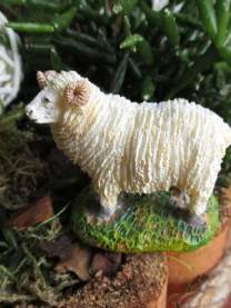 Miniatur Schaf weiss braun