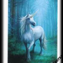 Magnet Elfe und schwarzes Einhorn