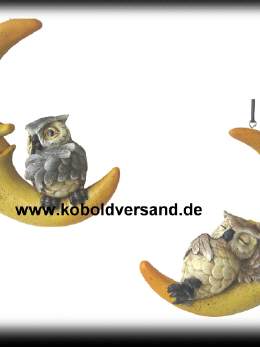 Eule in Bett mit Teddy und Wecker