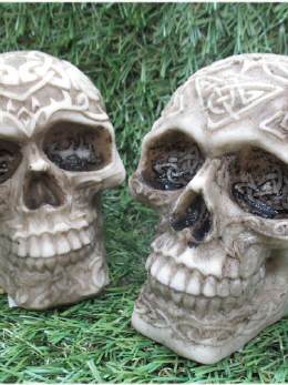 Mittlerer keltischer Schädel- Skull